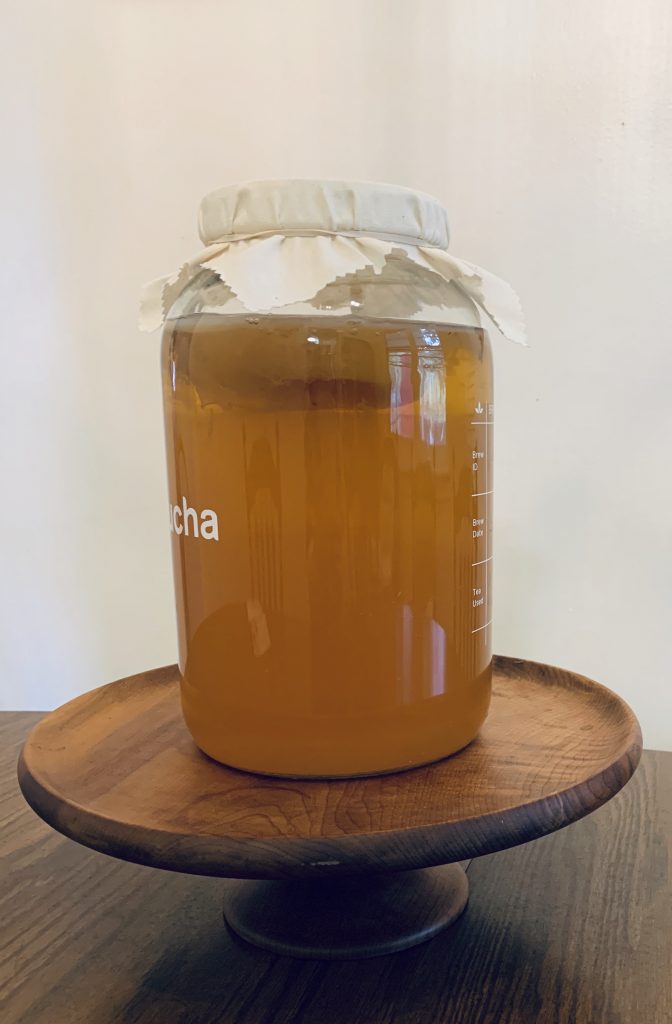glass gallon jar of homemade kombucha