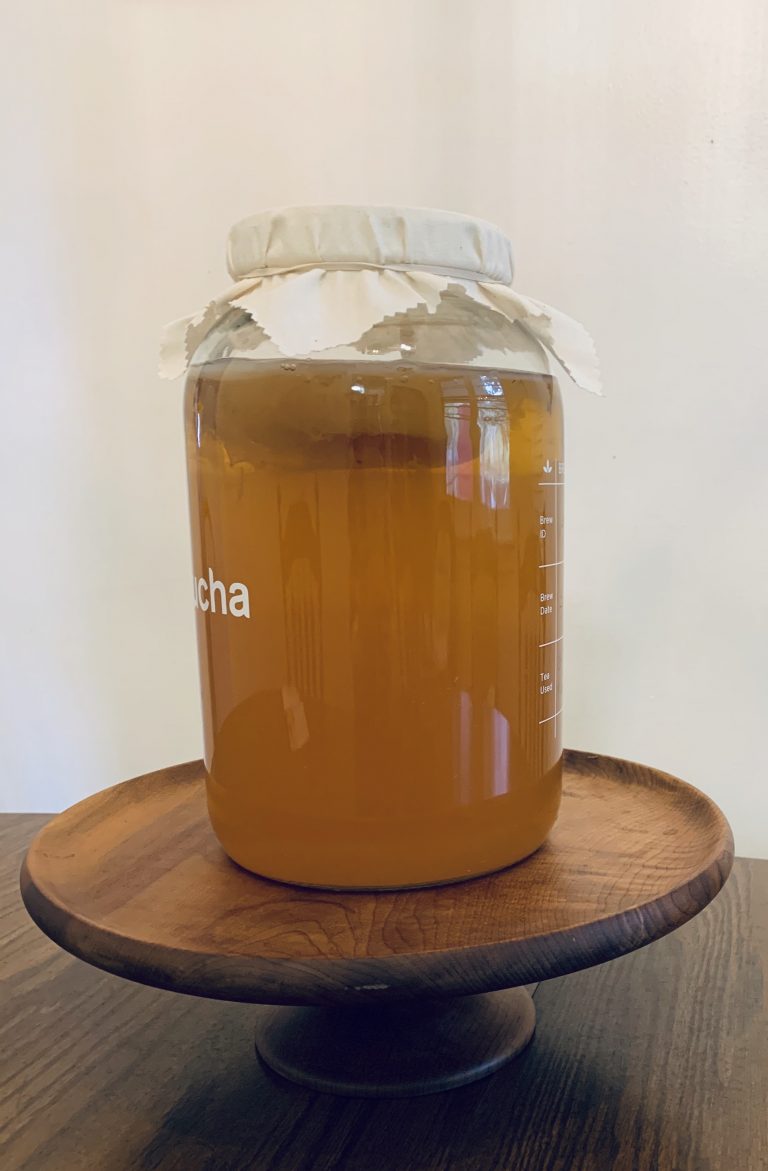 glass gallon jar of homemade kombucha