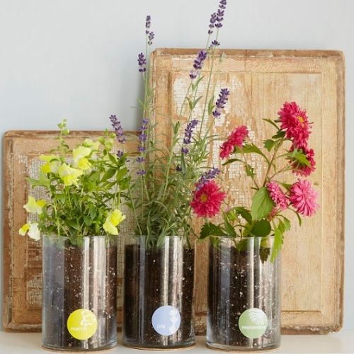 flowers in glass containers