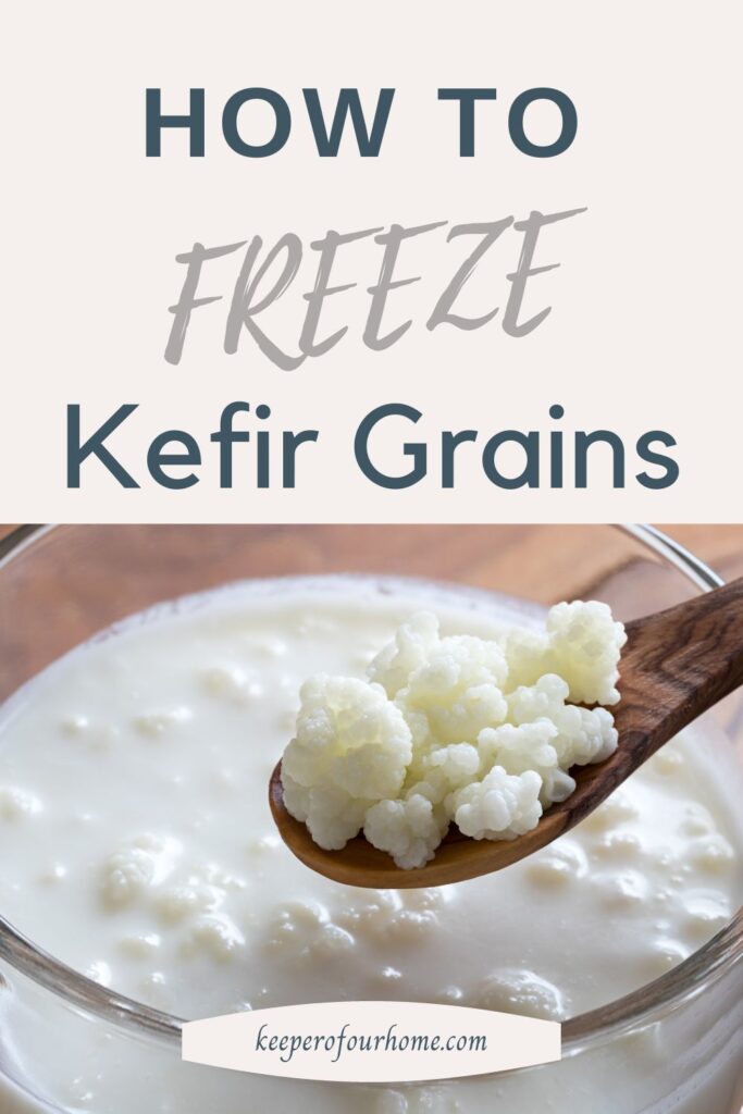 how to freeze kefir grains pinterest pin