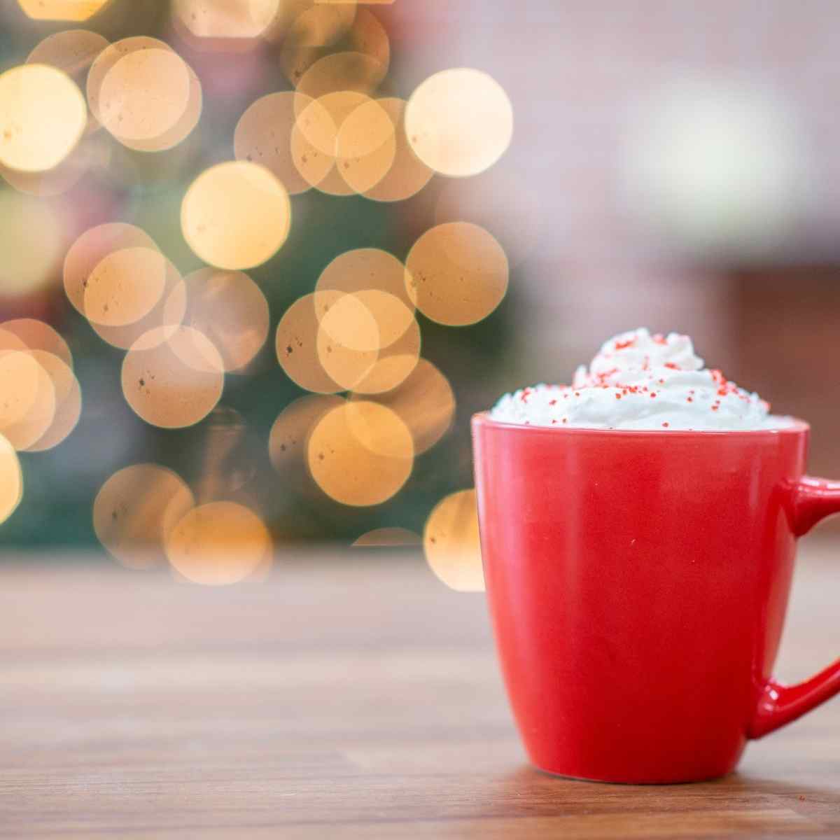 hot cup of cocoa
