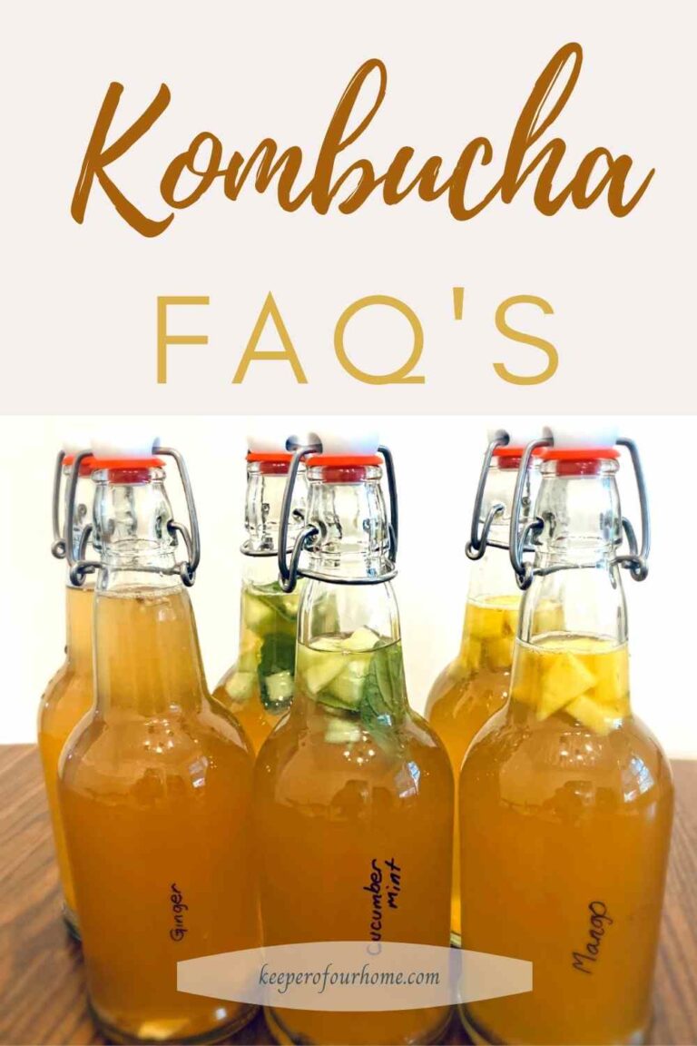 Most Asked Kombucha Questions Answered keeper of our home