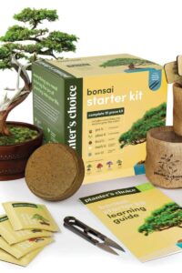 bonsai tree growing kit gift set