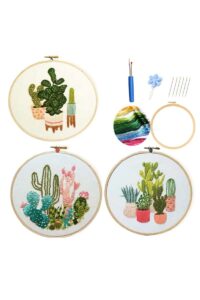 embroidery starter kit gift idea