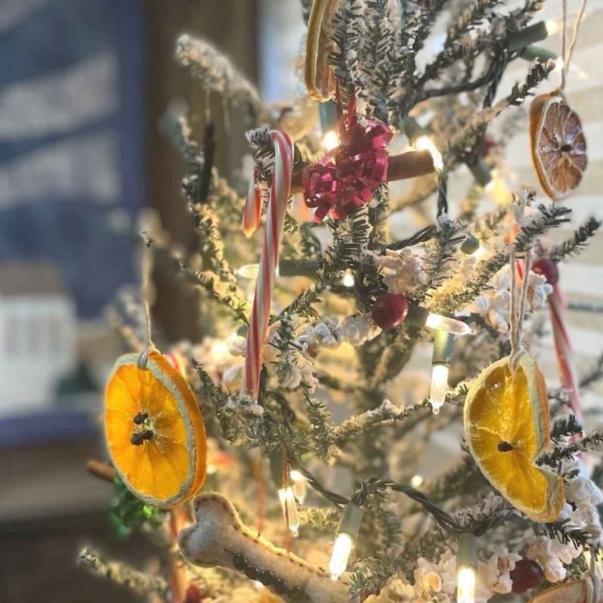 minni christmas tree decorated with dried orange slices