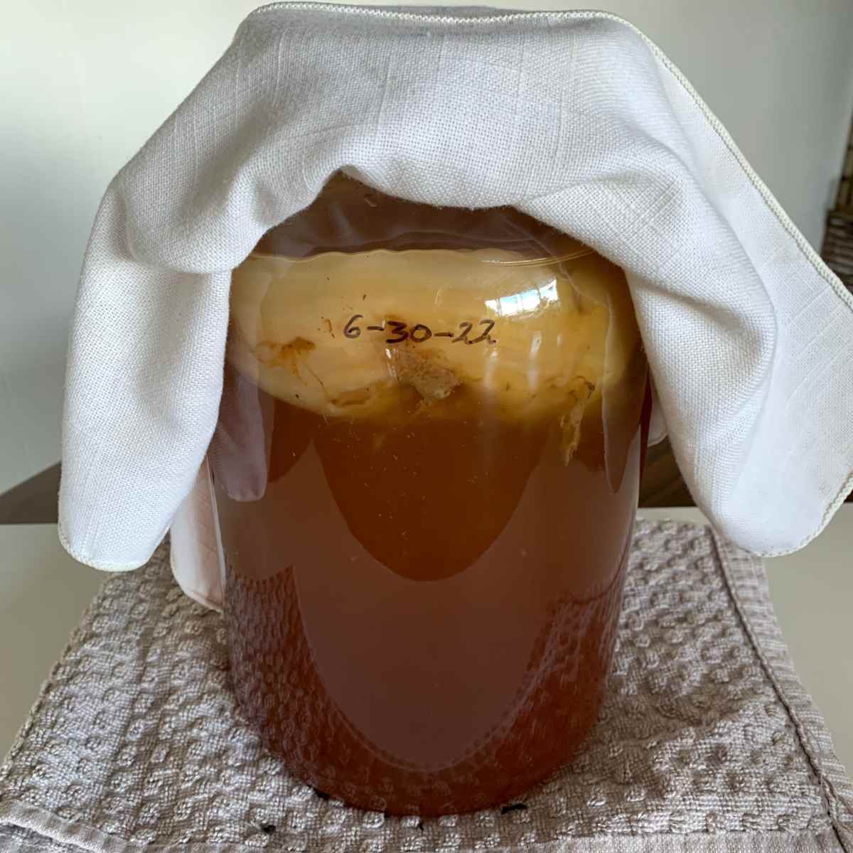 homemade kombucha and SCOBY in a one gallon glass jar.