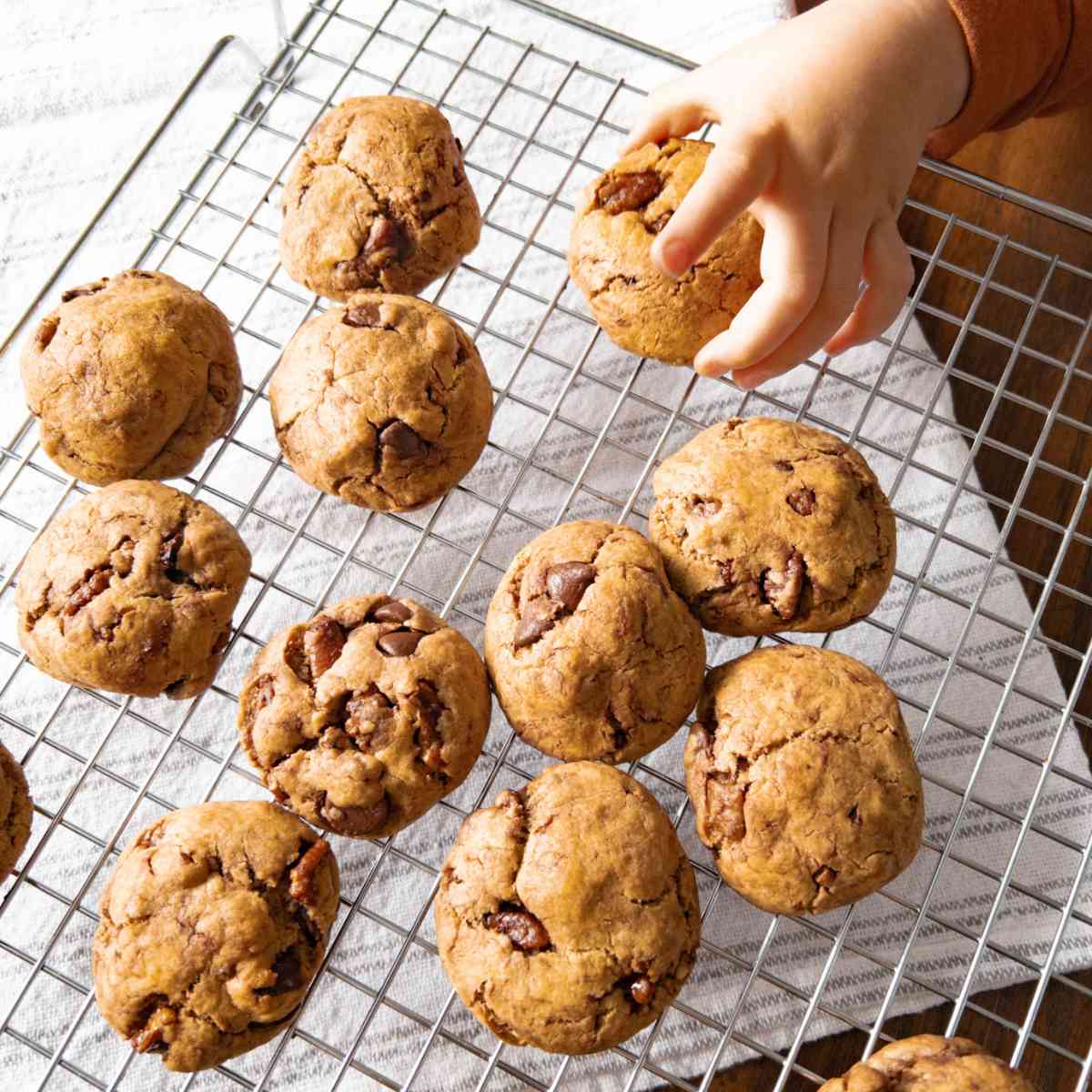 freshly baked einkorn chocolate chip cookies on a cooling rack