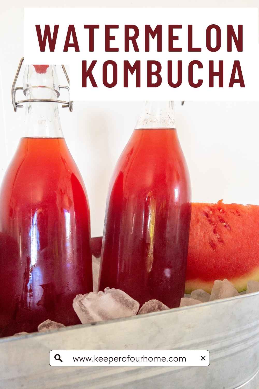 watermelon kombucha recipe pinterest graphic